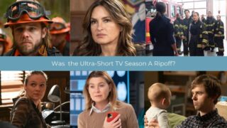 Cover Image: Ultra Short Season Ripoff